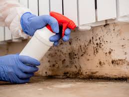 Environmental Consulting for Mold Prevention in Chatham, IL